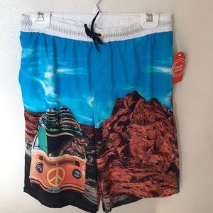 Boy’s Dinosaur 🦖 quick dry swim trunks